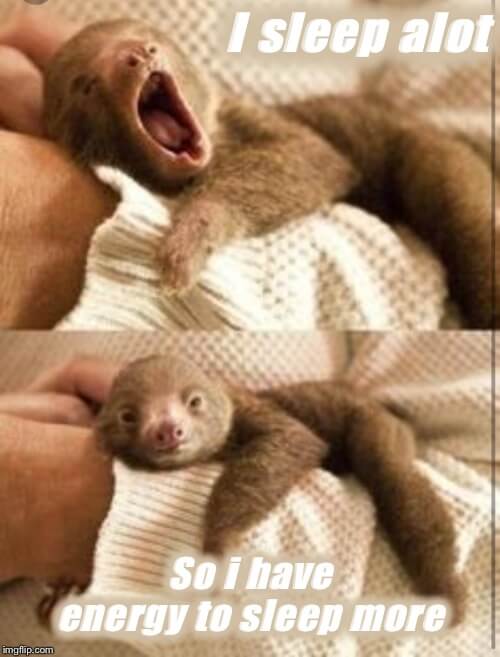 i sleep alot so i have sleep more sloth meme