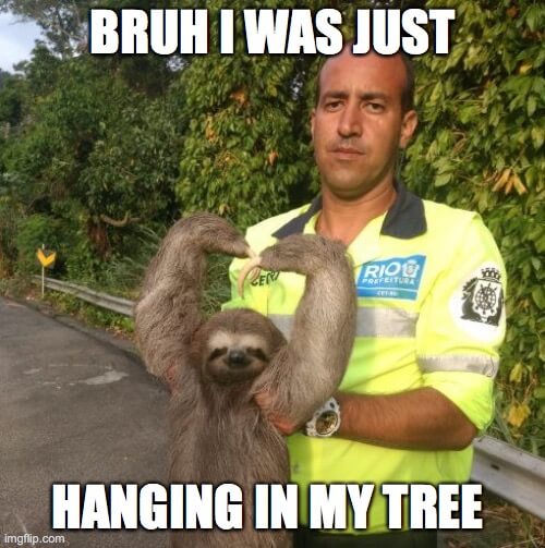 i was just hanging in my tree sloth meme