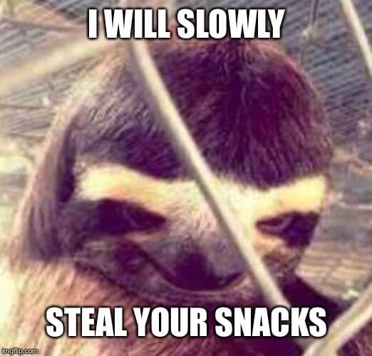 i will slowly steal your snacks sloth meme