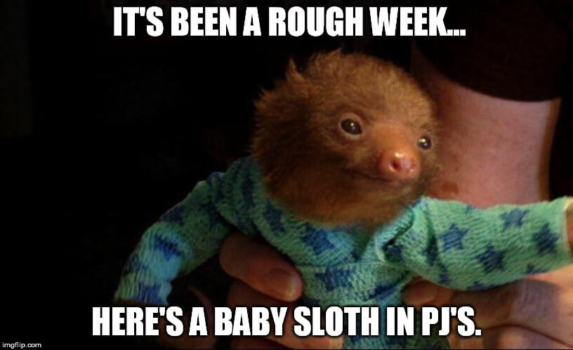 it's been a rough week baby sloth in pj's meme