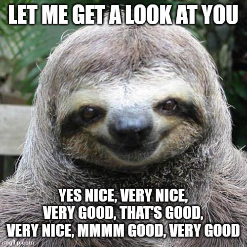 let me get a look at you sloth meme
