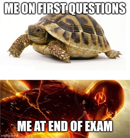 me on first questions me at end of exam sloth meme