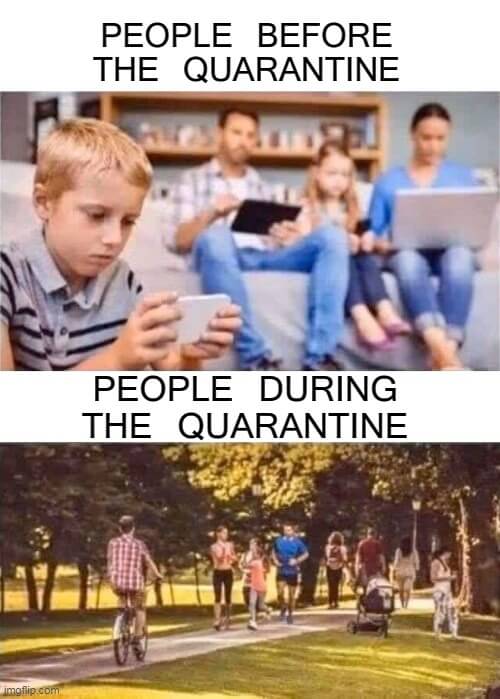 quarantine triggered meme