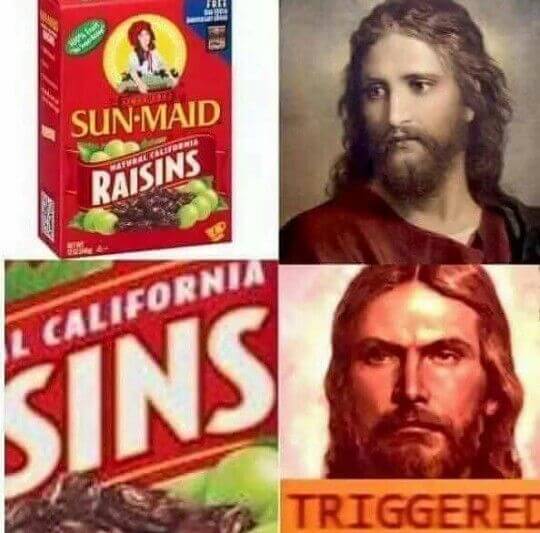 raisins sins jesus triggered meme