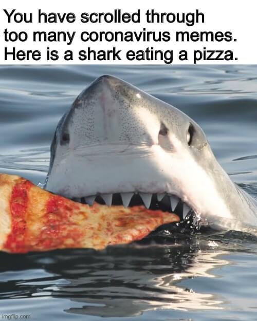 shark eating a pizza meme
