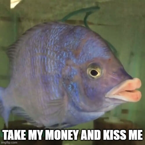 take my money and kiss me meme