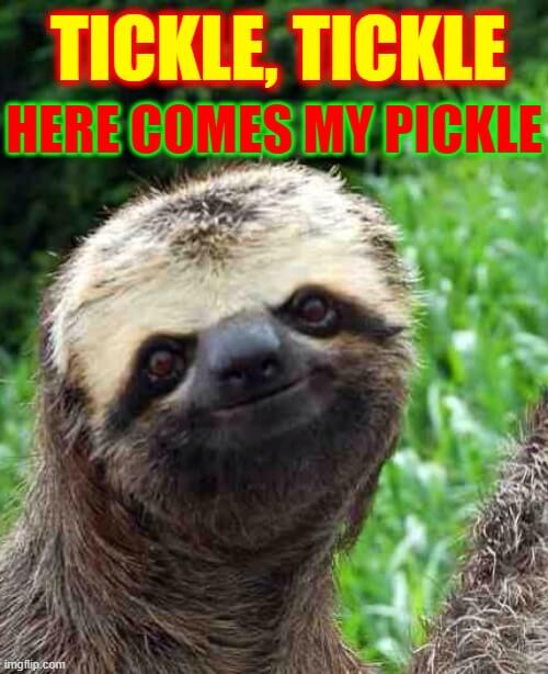 tickle tickle here comes my pickle sloth meme