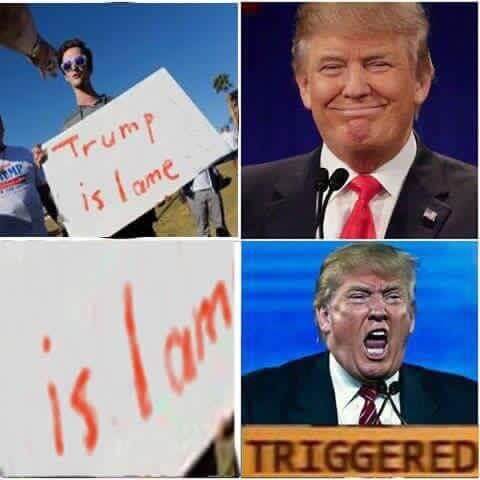 trump is lame triggered memes