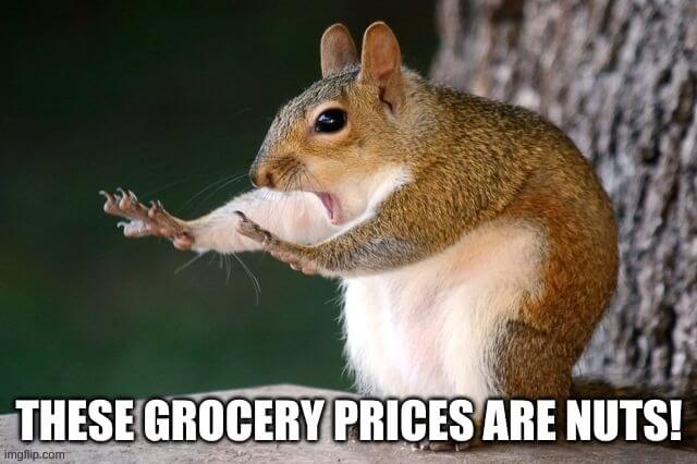 when grocery price get high shocked meme