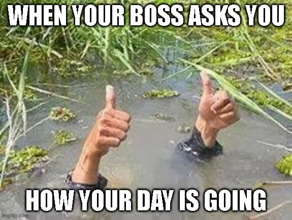 when your boss asks you how's day thumbs up meme