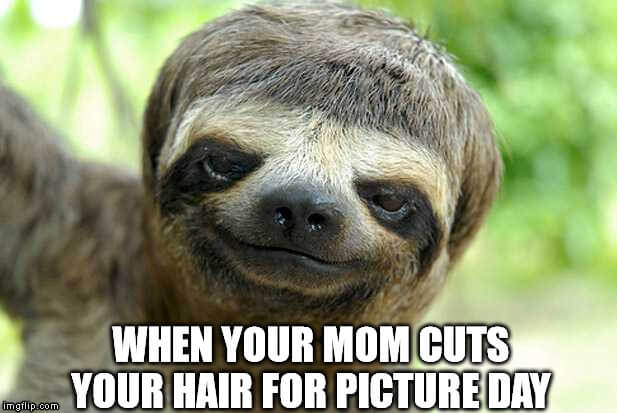 when your mom cuts your hair for picture sloth meme