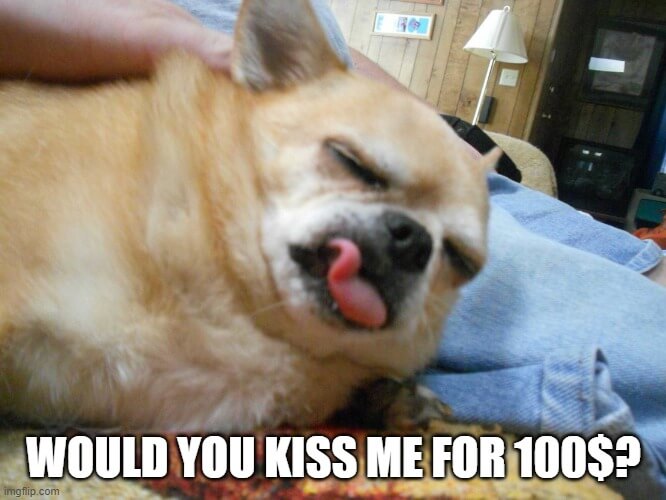 would you kiss me for 100$ meme